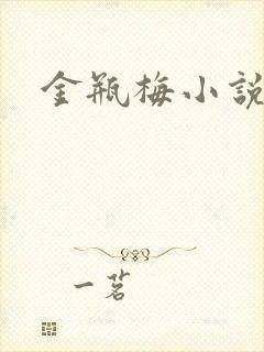 金瓶梅小说下载