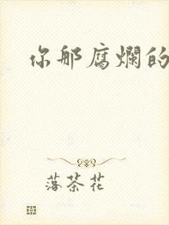 你那腐烂的直肠封面