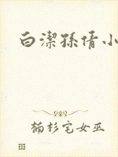 白洁孙倩小说封面