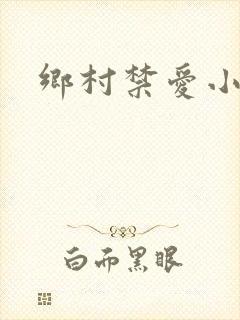 乡村禁爱小说