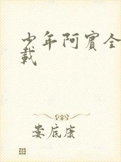 少年阿宾全集下载封面