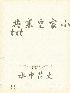 共享皇家小公主txt