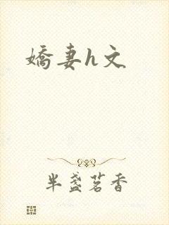 娇妻h文