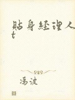 贴身经理人txt封面