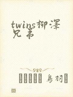 twins柳泽兄弟