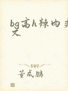 bg高h辣肉爽文