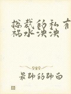 总裁的私有宝贝祸水泱泱