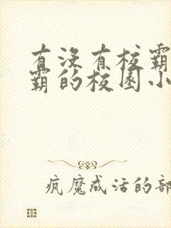 有没有校霸与学霸的校园小说