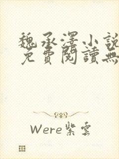 魏承泽小说全文免费阅读无弹窗笔趣