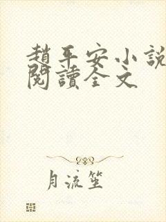 赵平安小说免费阅读全文