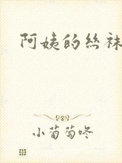 阿姨的丝袜小说