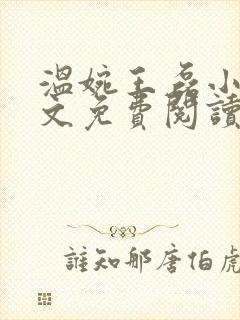 温婉王磊小说全文免费阅读无弹窗封面