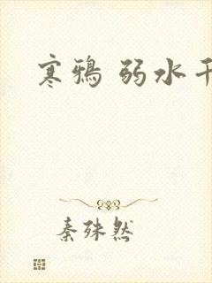 寒鸦 弱水千流