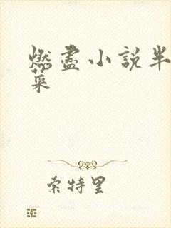 燃尽小说半截白菜