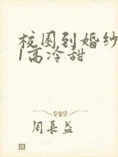 校园到婚纱1V1高冷甜