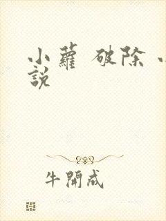 小萝 破除 小说
