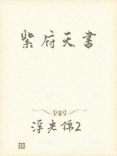 紫府天书封面