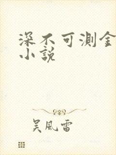 深不可测金银花小说