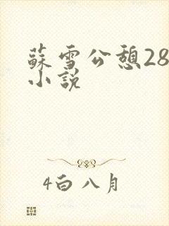 苏雪公憩28篇小说封面