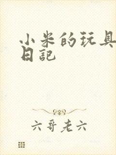 小米的玩具羞辱日记