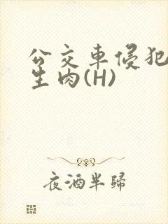 公交车侵犯小男生肉(H)