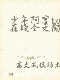 少年阿宾txt在线全文阅读
