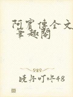 阿宾传全文阅读 笔趣阁