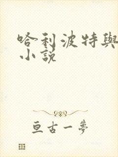 哈利波特与密室小说