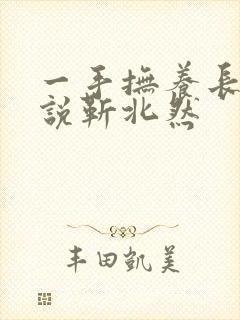 一手抚养长大小说靳北然