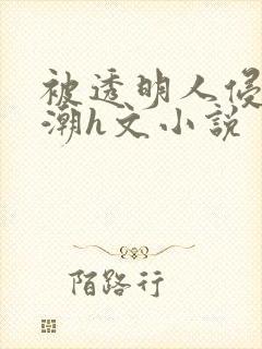 被透明人侵犯高潮h文小说