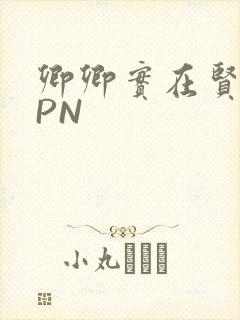 卿卿实在贤良NPN