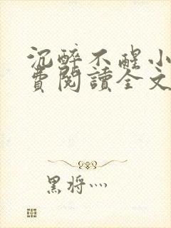 沉醉不醒小说免费阅读全文无弹窗