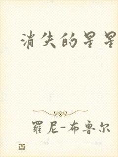 消失的星星封面