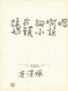 揉我胸啊嗯摸湿奶头小说