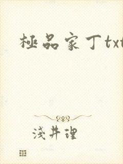 极品家丁txt封面