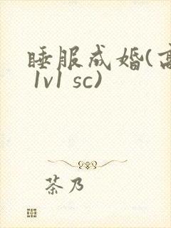 睡服成婚(高h 1v1 sc)
