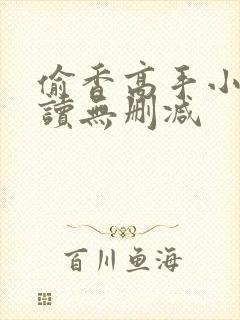 偷香高手小说阅读无删减封面