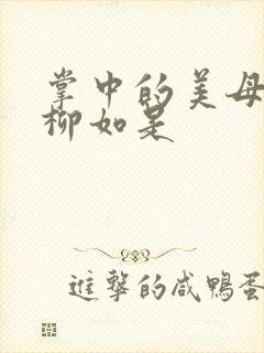 掌中的美母版主柳如是封面