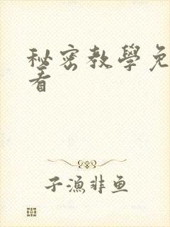 秘密教学免费观看