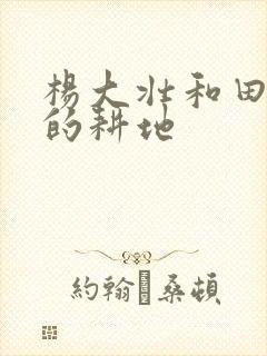 杨大壮和田桂花的耕地