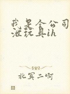 我是全公司的发泄玩具ih封面