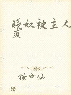 贱奴被主人玩好爽