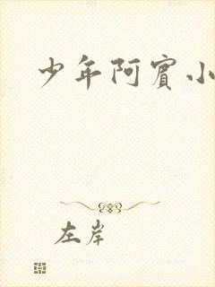 少年阿宾小说