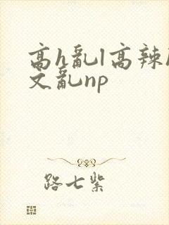 高h乱l高辣h文乱np