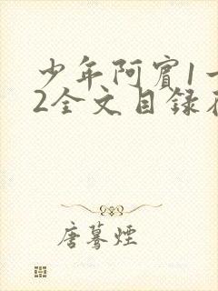 少年阿宾1一72全文目录在线