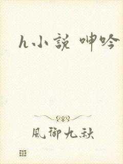 h小说 呻吟封面