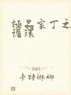 极品家丁之因果循环