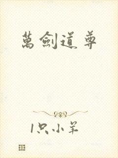 万剑道尊封面