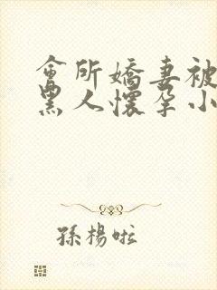 会所娇妻被多个黑人怀孕小说封面