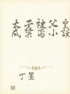 太子被父皇调教成禁脔小说